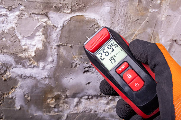 Best Attic Mold Removal  in Lake Park, GA