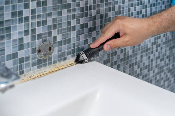 Best Residential Mold Removal  in Lake Park, GA