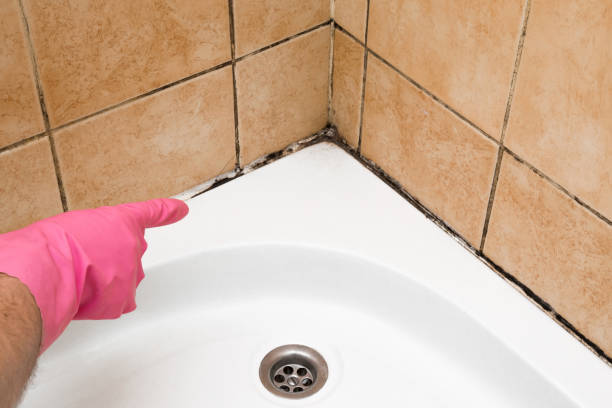 Home Mold Removal in Lake Park, GA